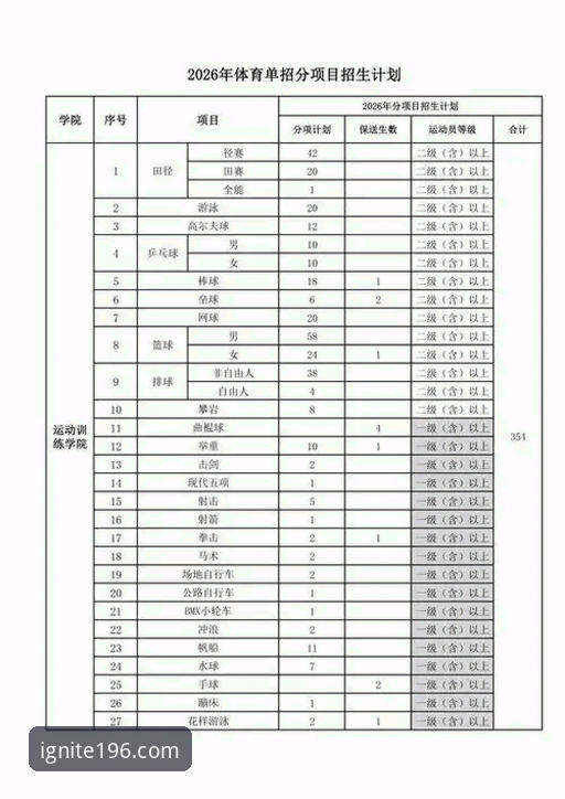 体育官方版本 196体育平台全面解析:从官方版本下载到观赛实战的完整指南